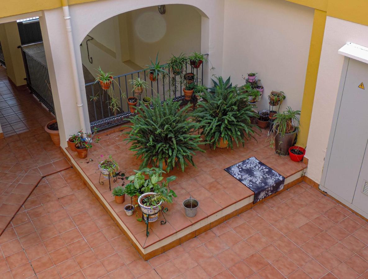 Duplex, Terraza, 10 Min Coche Centro Sevilla カマス エクステリア 写真